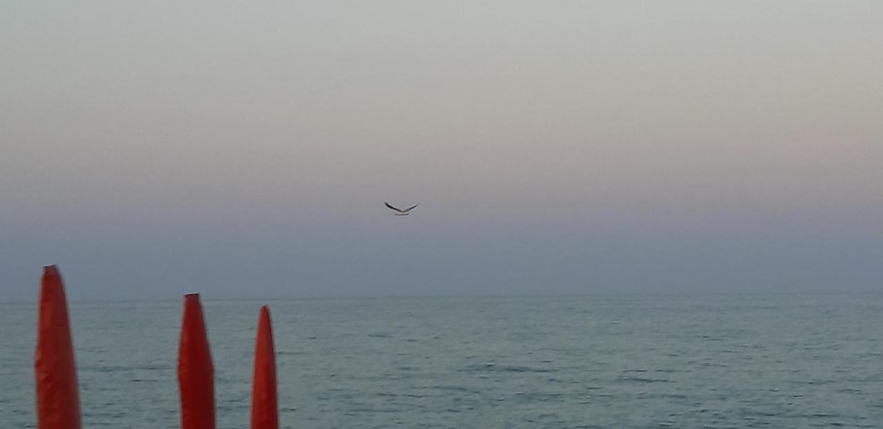 Voglia Di Mare... Holidays On The Beach Daire Porto SantʼElpidio Dış mekan fotoğraf